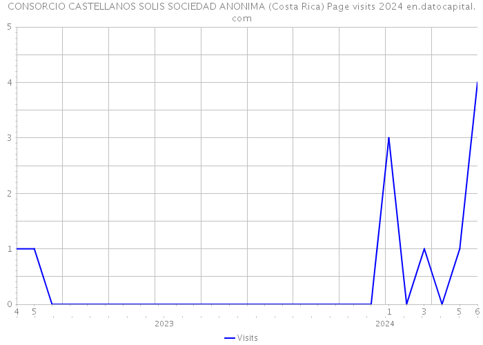 CONSORCIO CASTELLANOS SOLIS SOCIEDAD ANONIMA (Costa Rica) Page visits 2024 