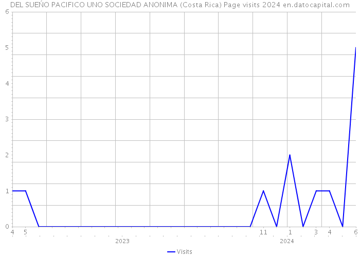 DEL SUEŃO PACIFICO UNO SOCIEDAD ANONIMA (Costa Rica) Page visits 2024 