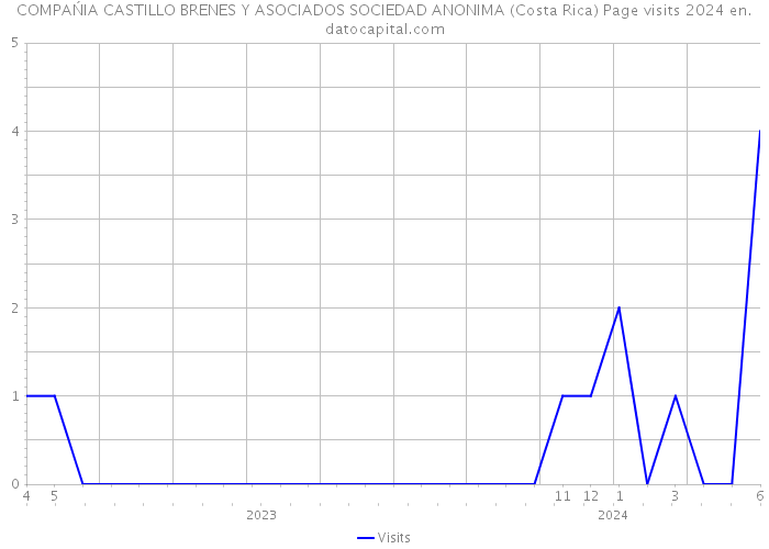 COMPAŃIA CASTILLO BRENES Y ASOCIADOS SOCIEDAD ANONIMA (Costa Rica) Page visits 2024 