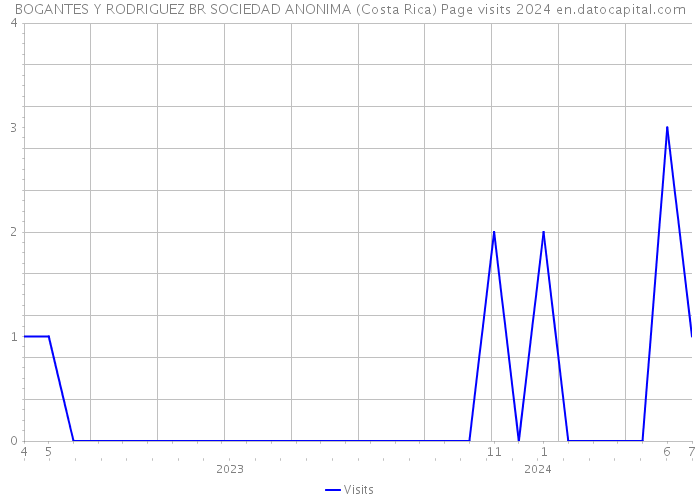 BOGANTES Y RODRIGUEZ BR SOCIEDAD ANONIMA (Costa Rica) Page visits 2024 
