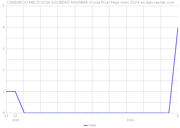 CONSORCIO MECO UCSA SOCIEDAD ANONIMA (Costa Rica) Page visits 2024 