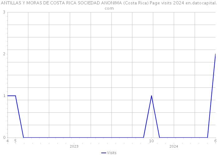 ANTILLAS Y MORAS DE COSTA RICA SOCIEDAD ANONIMA (Costa Rica) Page visits 2024 