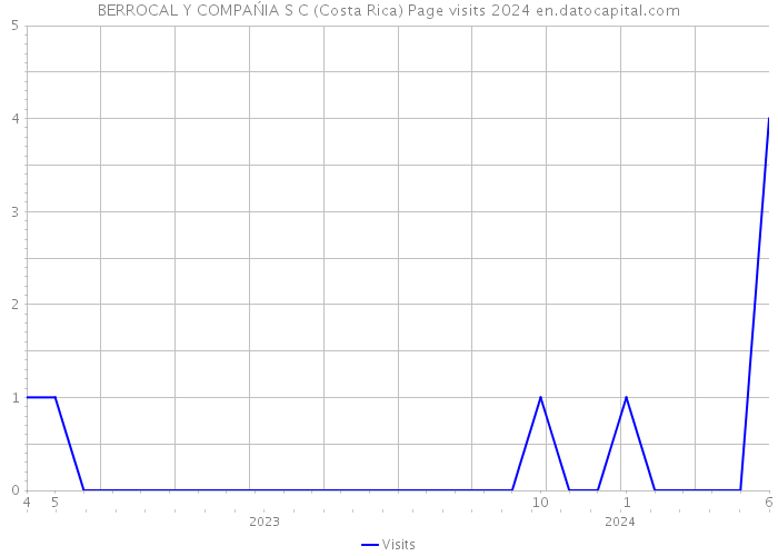 BERROCAL Y COMPAŃIA S C (Costa Rica) Page visits 2024 