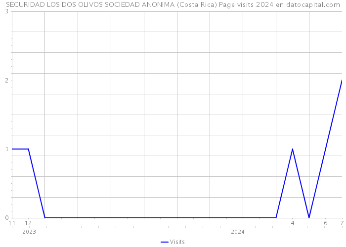 SEGURIDAD LOS DOS OLIVOS SOCIEDAD ANONIMA (Costa Rica) Page visits 2024 
