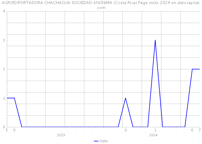 AGROEXPORTADORA CHACHAGUA SOCIEDAD ANONIMA (Costa Rica) Page visits 2024 