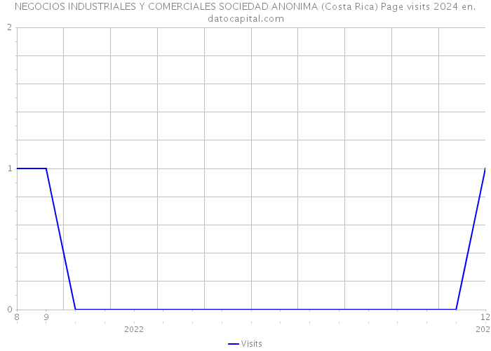 NEGOCIOS INDUSTRIALES Y COMERCIALES SOCIEDAD ANONIMA (Costa Rica) Page visits 2024 
