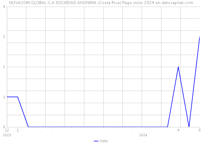NOVACOM GLOBAL C.A SOCIEDAD ANONIMA (Costa Rica) Page visits 2024 
