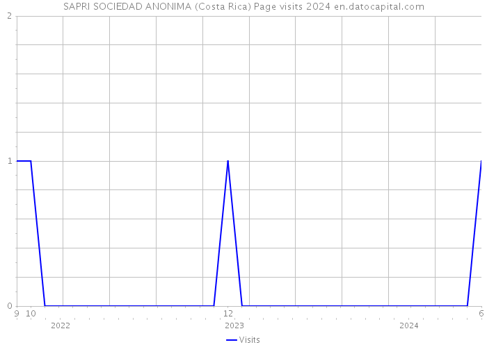 SAPRI SOCIEDAD ANONIMA (Costa Rica) Page visits 2024 