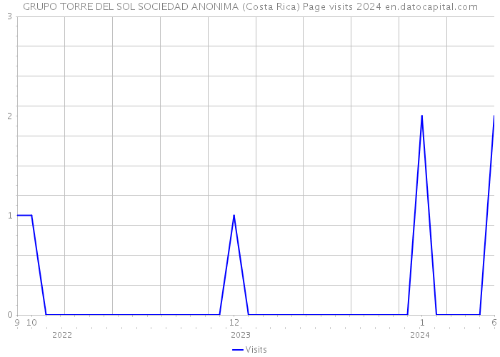 GRUPO TORRE DEL SOL SOCIEDAD ANONIMA (Costa Rica) Page visits 2024 