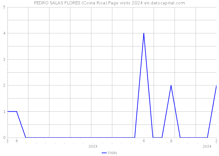 PEDRO SALAS FLORES (Costa Rica) Page visits 2024 