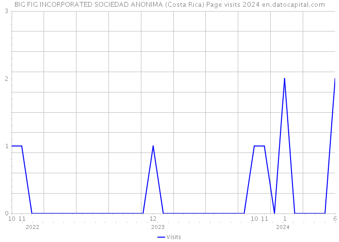 BIG FIG INCORPORATED SOCIEDAD ANONIMA (Costa Rica) Page visits 2024 