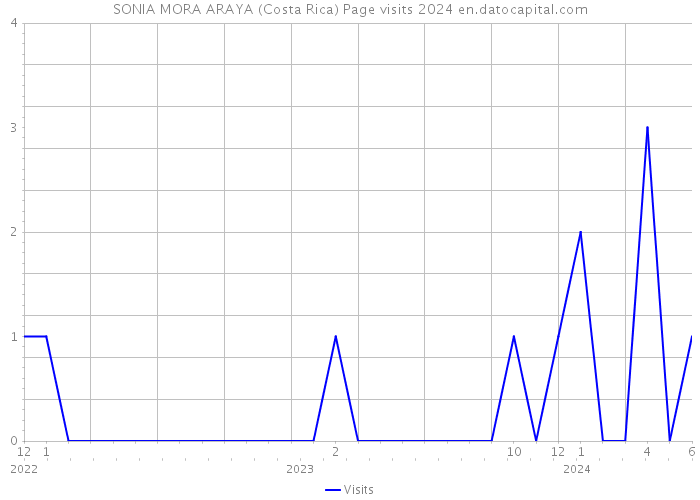 SONIA MORA ARAYA (Costa Rica) Page visits 2024 