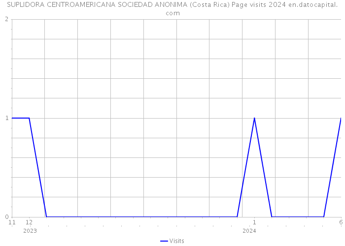 SUPLIDORA CENTROAMERICANA SOCIEDAD ANONIMA (Costa Rica) Page visits 2024 