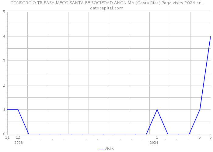 CONSORCIO TRIBASA MECO SANTA FE SOCIEDAD ANONIMA (Costa Rica) Page visits 2024 
