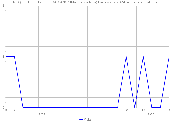NCQ SOLUTIONS SOCIEDAD ANONIMA (Costa Rica) Page visits 2024 