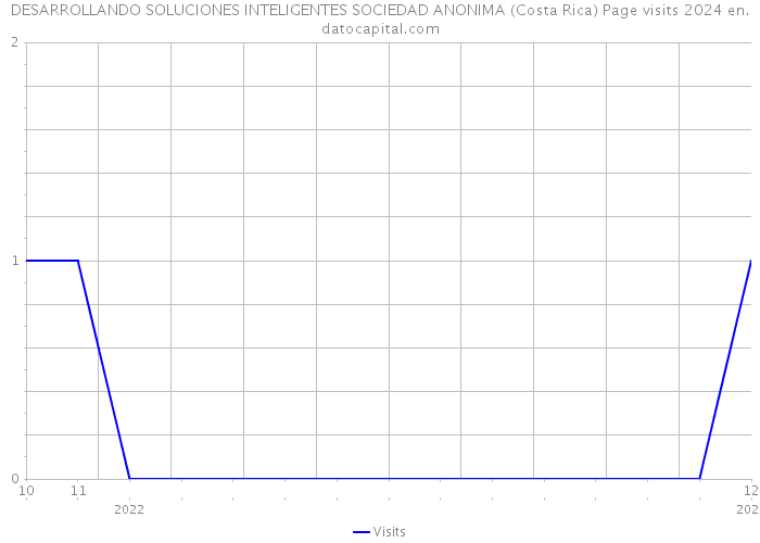 DESARROLLANDO SOLUCIONES INTELIGENTES SOCIEDAD ANONIMA (Costa Rica) Page visits 2024 