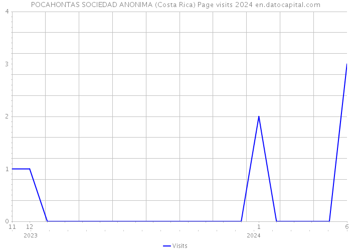 POCAHONTAS SOCIEDAD ANONIMA (Costa Rica) Page visits 2024 