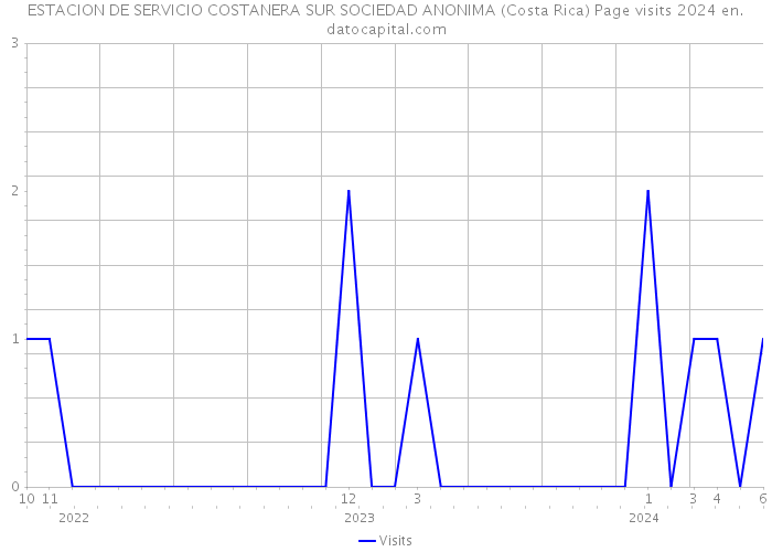 ESTACION DE SERVICIO COSTANERA SUR SOCIEDAD ANONIMA (Costa Rica) Page visits 2024 