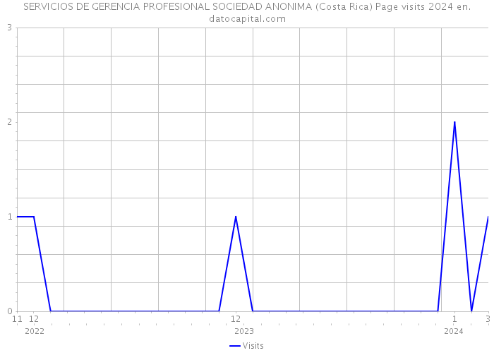 SERVICIOS DE GERENCIA PROFESIONAL SOCIEDAD ANONIMA (Costa Rica) Page visits 2024 
