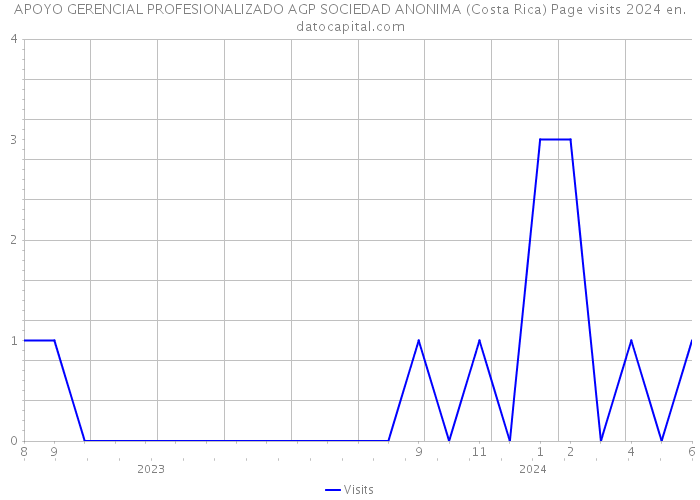 APOYO GERENCIAL PROFESIONALIZADO AGP SOCIEDAD ANONIMA (Costa Rica) Page visits 2024 