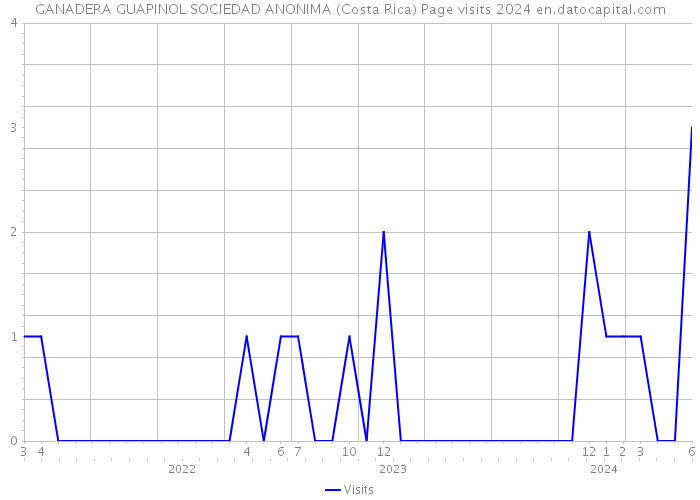 GANADERA GUAPINOL SOCIEDAD ANONIMA (Costa Rica) Page visits 2024 