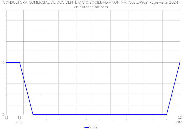 CONSULTORA COMERCIAL DE OCCIDENTE C C O SOCIEDAD ANONIMA (Costa Rica) Page visits 2024 