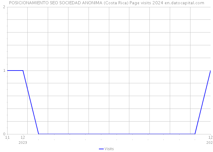 POSICIONAMIENTO SEO SOCIEDAD ANONIMA (Costa Rica) Page visits 2024 