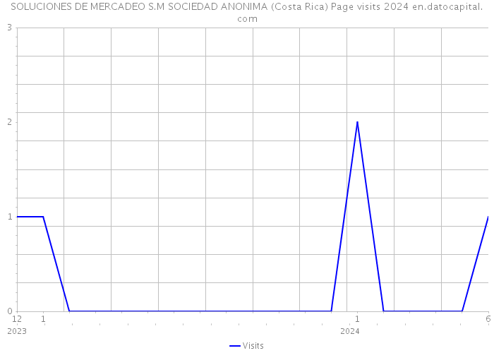 SOLUCIONES DE MERCADEO S.M SOCIEDAD ANONIMA (Costa Rica) Page visits 2024 