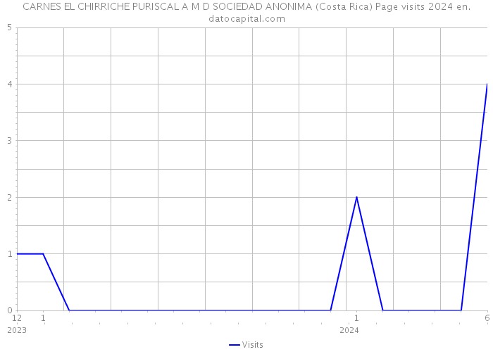 CARNES EL CHIRRICHE PURISCAL A M D SOCIEDAD ANONIMA (Costa Rica) Page visits 2024 
