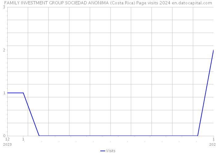 FAMILY INVESTMENT GROUP SOCIEDAD ANONIMA (Costa Rica) Page visits 2024 