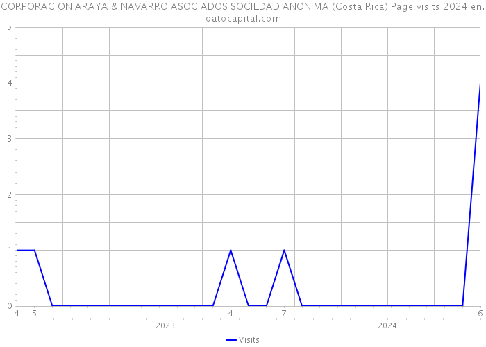 CORPORACION ARAYA & NAVARRO ASOCIADOS SOCIEDAD ANONIMA (Costa Rica) Page visits 2024 