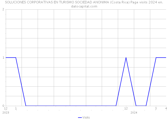 SOLUCIONES CORPORATIVAS EN TURISMO SOCIEDAD ANONIMA (Costa Rica) Page visits 2024 