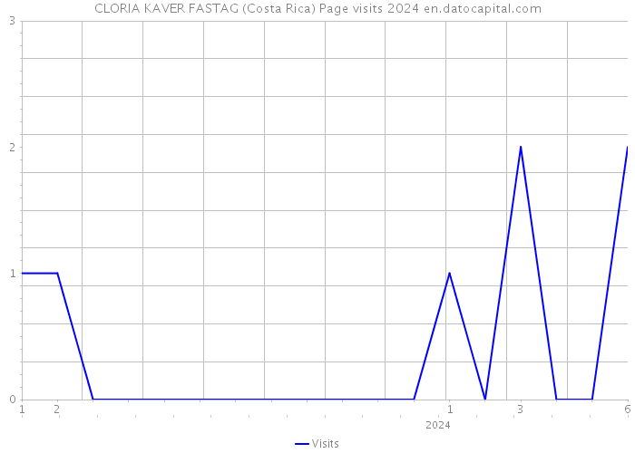CLORIA KAVER FASTAG (Costa Rica) Page visits 2024 