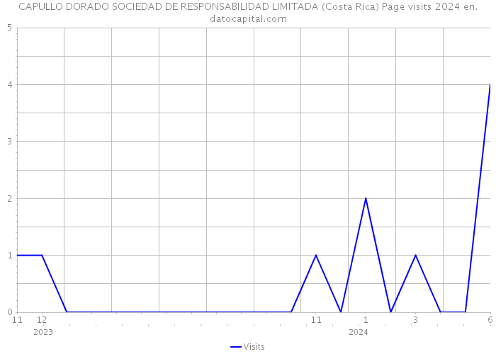 CAPULLO DORADO SOCIEDAD DE RESPONSABILIDAD LIMITADA (Costa Rica) Page visits 2024 