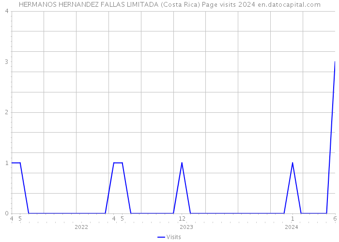 HERMANOS HERNANDEZ FALLAS LIMITADA (Costa Rica) Page visits 2024 