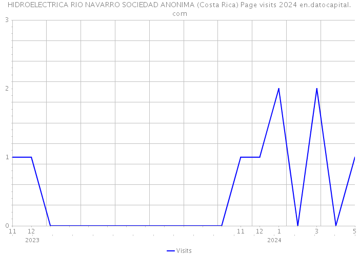 HIDROELECTRICA RIO NAVARRO SOCIEDAD ANONIMA (Costa Rica) Page visits 2024 