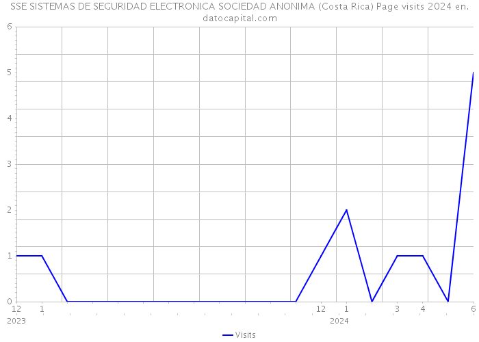 SSE SISTEMAS DE SEGURIDAD ELECTRONICA SOCIEDAD ANONIMA (Costa Rica) Page visits 2024 