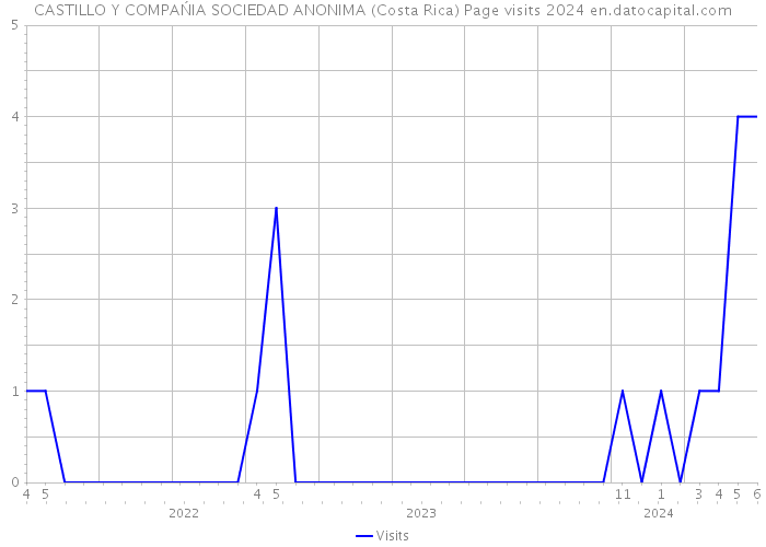 CASTILLO Y COMPAŃIA SOCIEDAD ANONIMA (Costa Rica) Page visits 2024 