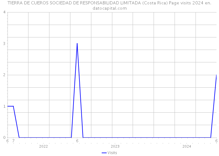 TIERRA DE CUEROS SOCIEDAD DE RESPONSABILIDAD LIMITADA (Costa Rica) Page visits 2024 