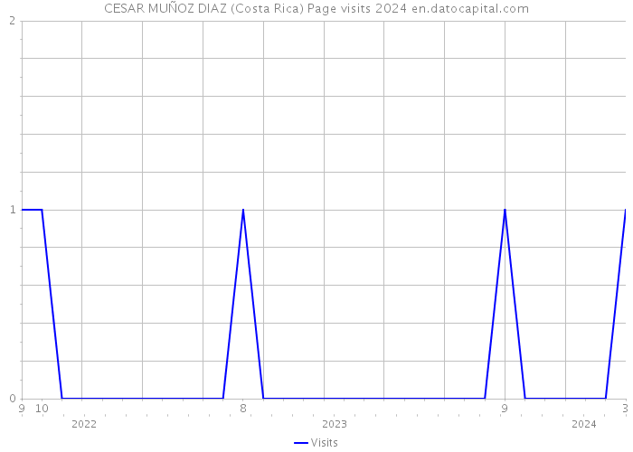 CESAR MUÑOZ DIAZ (Costa Rica) Page visits 2024 