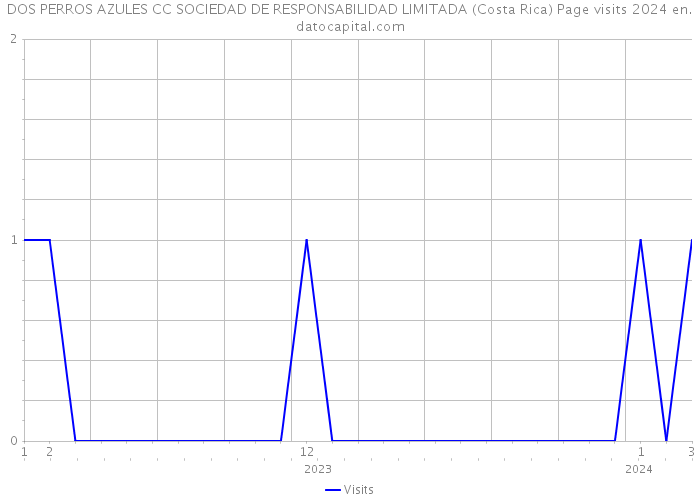 DOS PERROS AZULES CC SOCIEDAD DE RESPONSABILIDAD LIMITADA (Costa Rica) Page visits 2024 