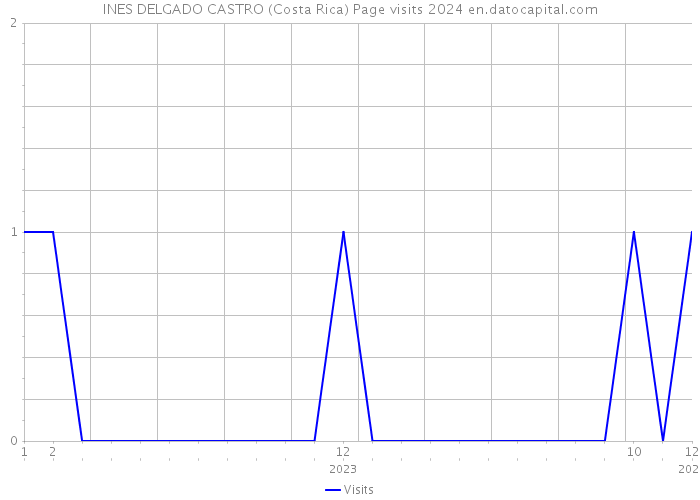 INES DELGADO CASTRO (Costa Rica) Page visits 2024 