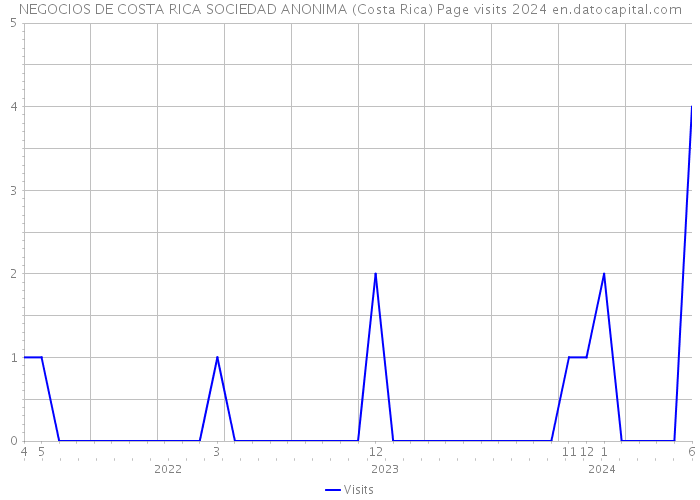 NEGOCIOS DE COSTA RICA SOCIEDAD ANONIMA (Costa Rica) Page visits 2024 