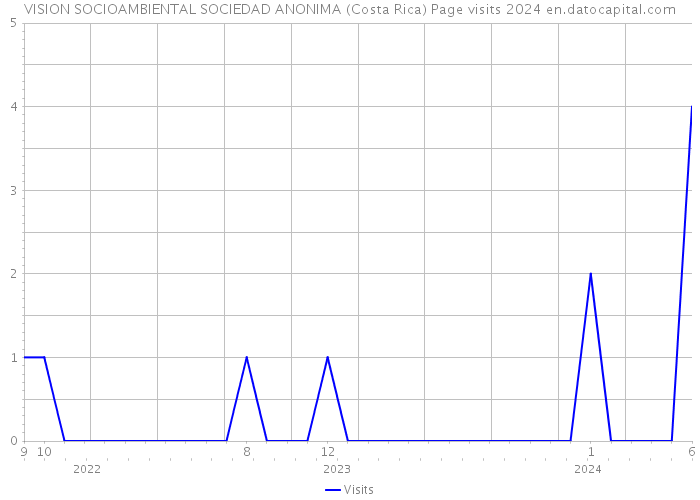 VISION SOCIOAMBIENTAL SOCIEDAD ANONIMA (Costa Rica) Page visits 2024 