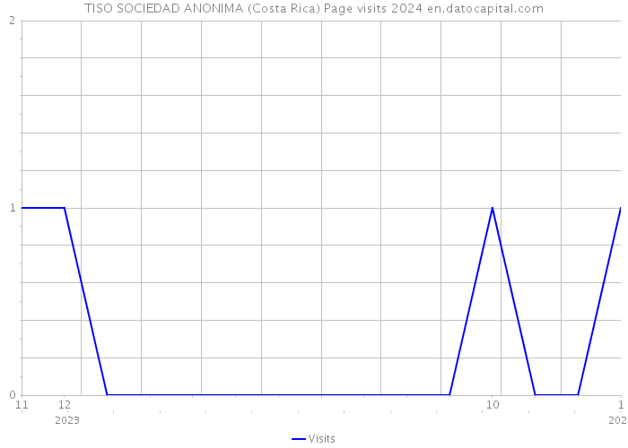 TISO SOCIEDAD ANONIMA (Costa Rica) Page visits 2024 