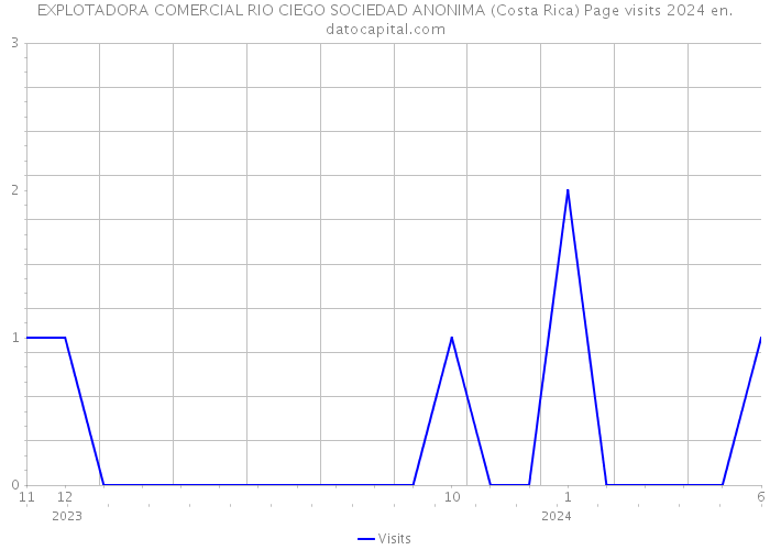 EXPLOTADORA COMERCIAL RIO CIEGO SOCIEDAD ANONIMA (Costa Rica) Page visits 2024 