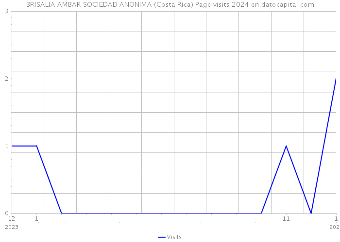 BRISALIA AMBAR SOCIEDAD ANONIMA (Costa Rica) Page visits 2024 