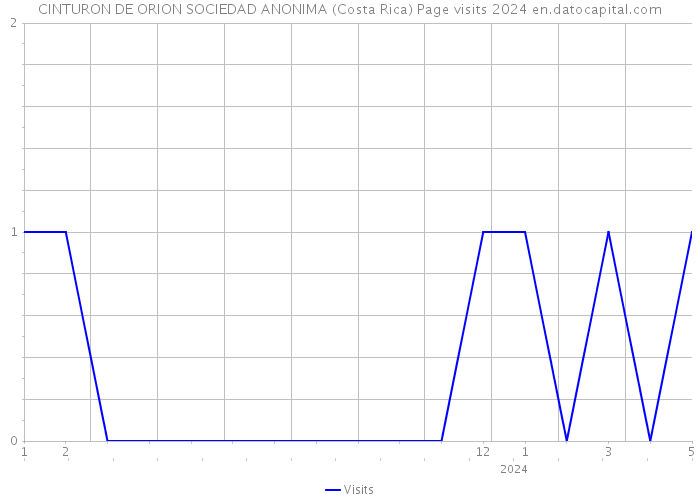 CINTURON DE ORION SOCIEDAD ANONIMA (Costa Rica) Page visits 2024 