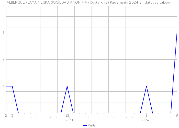 ALBERGUE PLAYA NEGRA SOCIEDAD ANONIMA (Costa Rica) Page visits 2024 