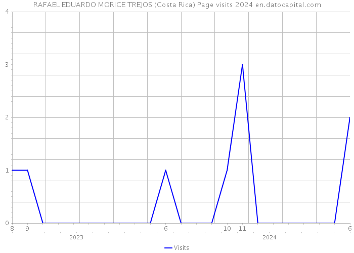 RAFAEL EDUARDO MORICE TREJOS (Costa Rica) Page visits 2024 